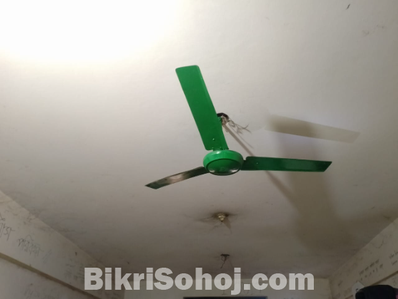 Ceiling fan